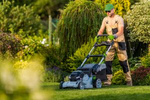 Mowing the Lawn Using Professional Equipment