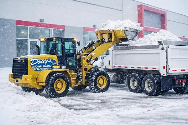 Snow Removal Snow Removal